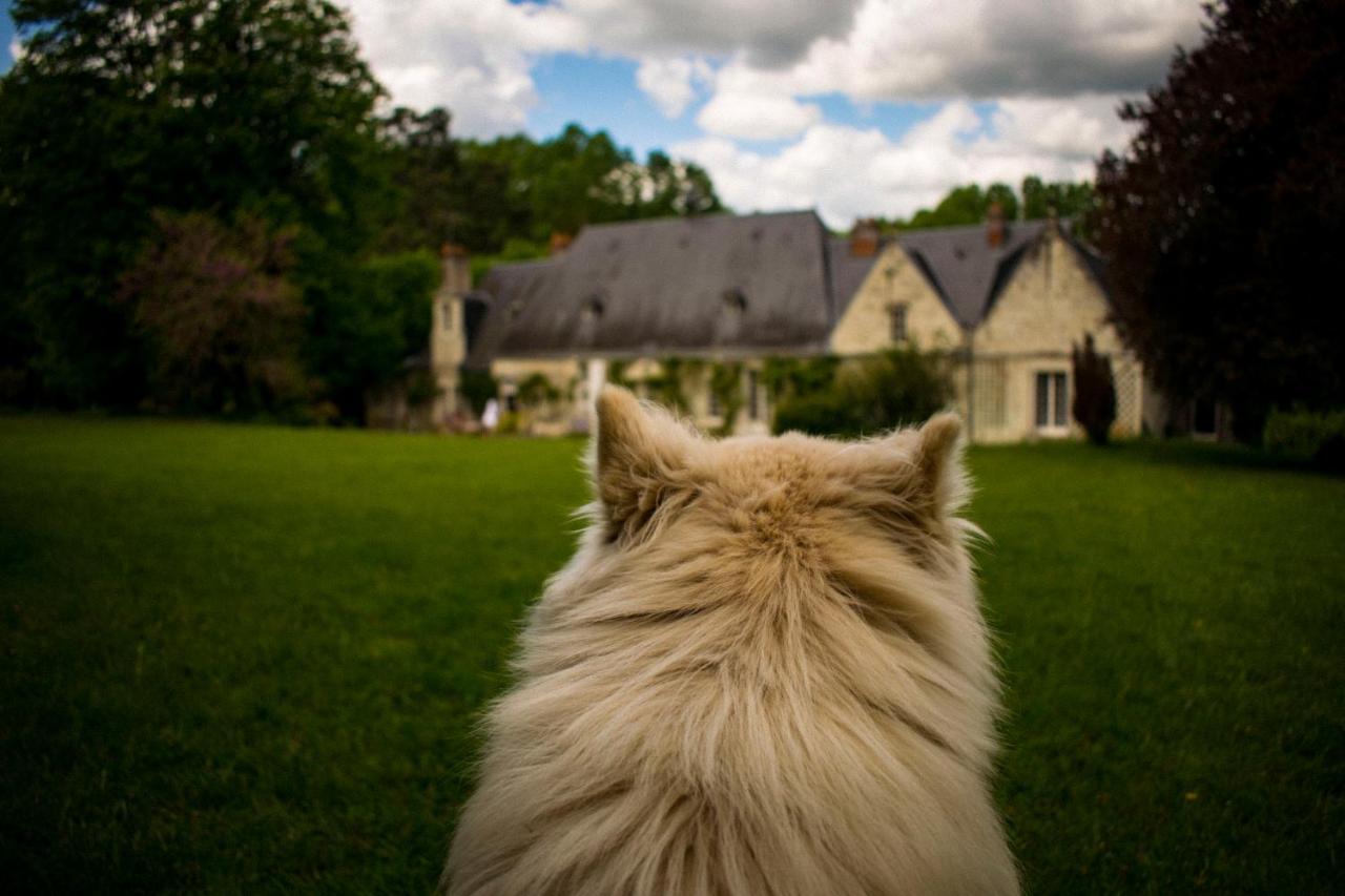 Bed & Breakfast - La Closerie De La Fuye Ballan-Miré Kültér fotó